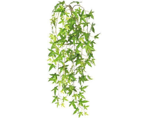 Kunstpflanze Sternefeu Höhe: 108 cm grün