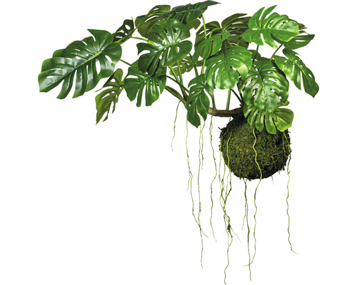 Kunstpflanze Splitphilodendron Höhe: 80 cm grün