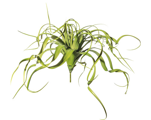 Kunstpflanze Tillandsienhänger Höhe: 70 cm grün