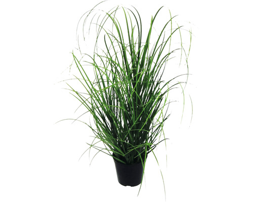 Kunstpflanze Grasbusch Höhe: 75 cm grün
