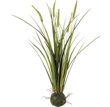 Kunstpflanze Miscanthus Höhe: 63 cm grün