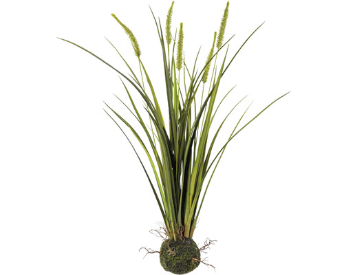 Kunstpflanze Miscanthus Höhe: 63 cm grün