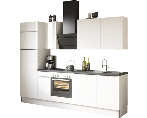 Küchenzeile mit Hängeschränken, Dunstabzugshaube und Elektrogeräten.