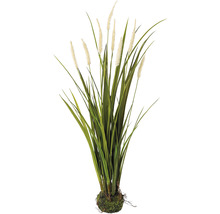 Kunstpflanze Miscanthus schmal Höhe: 75 cm grün