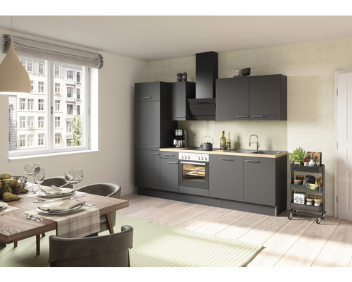 Optifit Küchenzeile mit Geräten Ingvar420 270 cm | HORNBACH