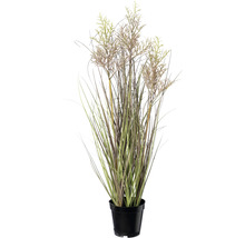Kunstpflanze Miscanthus Höhe: 83 cm grün