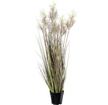 Kunstpflanze Miscanthus Höhe: 104 cm grün