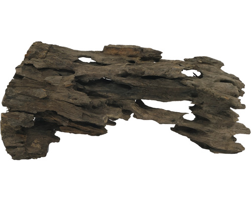 Moorkienholz für Aquarien