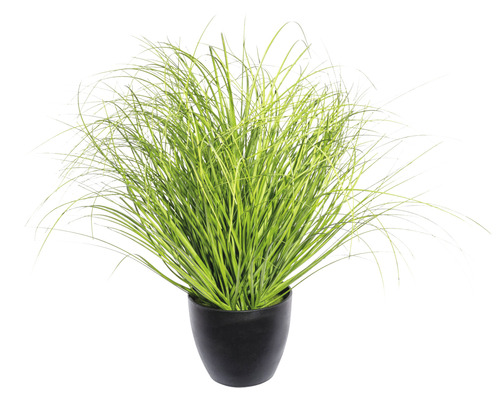 Kunstpflanze Grasbusch Höhe: 50 cm grün