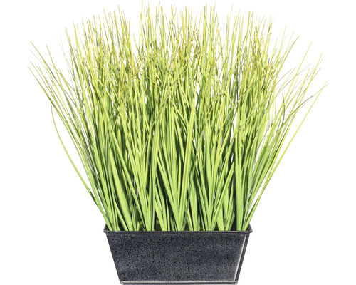 Kunstpflanze Gras Höhe: 30 cm grün
