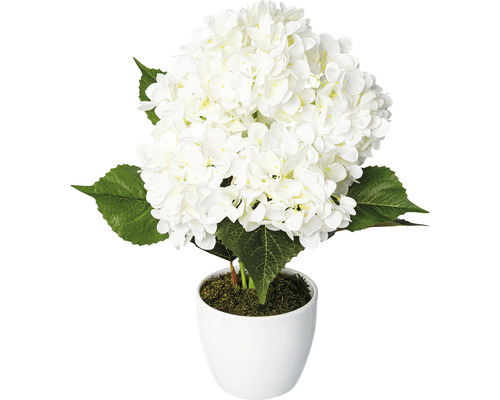 Kunstpflanze Hortensienstamm Höhe: 63 cm weiß
