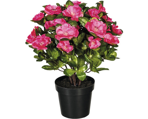 Kunstpflanze Azalee Höhe: 32 cm rosa