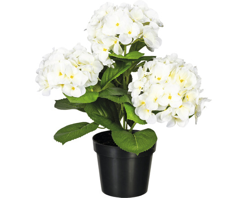 Kunstpflanze Hortensienbusch Höhe: 32 cm weiß schwarz