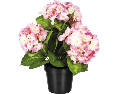 Kunstpflanze Hortensienbusch Höhe: 32 cm rosa
