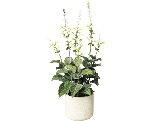 Kunstpflanze Salvie im Topf Höhe 45 cm weiß HORNBACH