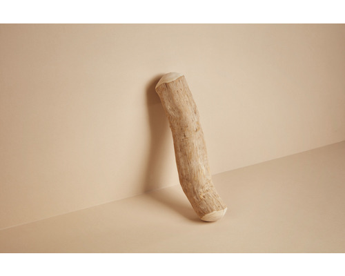 Treibholzstück lehnt an einer Wand