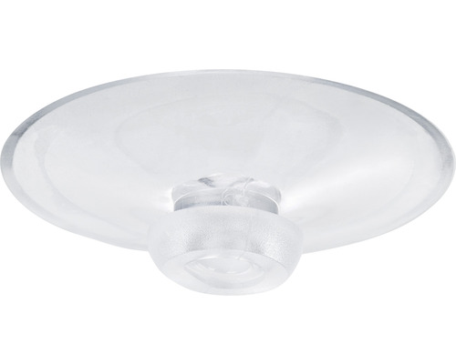 Saugnapf, transparent