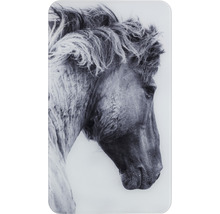 Glasbild mit Pferdeportrait