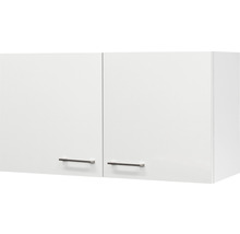 Hängeschrank mit zwei Türen und Griffen
