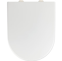 Toilettendeckel aus Sanitärkeramik
