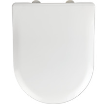 Toilettendeckel aus Kunststoff