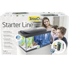 Aquarium Starter Line inkl. Abdeckung Beleuchtung Heizer/Heizstab Futter Wasseraufbereiter Rückwandfolie 61 x 35 x 31 cm