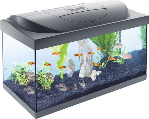 Aquarium Starter Line inkl. Abdeckung Beleuchtung Heizer/Heizstab Futter Wasseraufbereiter Rückwandfolie 61 x 35 x 31 cm Aquarium Starter Line inkl. Abdeckung Beleuchtung Heizer/Heizstab Futter Wasseraufbereiter Rückwandfolie 61 x 35 x 31 cm