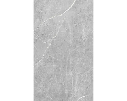 Graue Fliese mit Marmoroptik