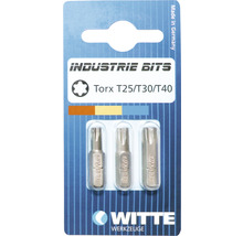 Witte Industrie Bits Torx T25, T30 und T40 im Set