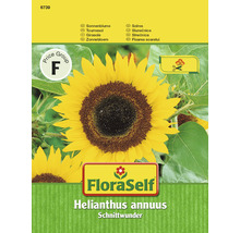 Sonnenblumen-Samenpackung der Marke FloraSelf