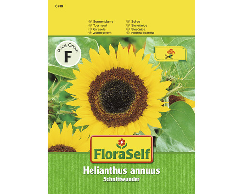 Sonnenblumen-Samenpackung der Marke FloraSelf