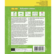 Helianthus annuus Schnittwunder seed package from FloraSelf