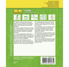 FloraSelf Caribe Koriandersamen Packung