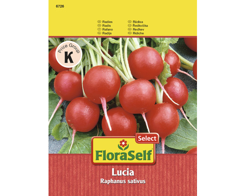 FloraSelf Lucia Radieschen Samen