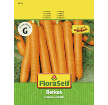 Karotte 'Berkos' FloraSelf F1 Hybride Gemüsesamen