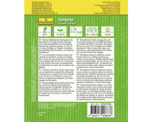 Samenpackung für Salatgurken der Sorte Gergena