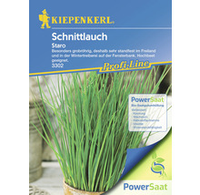 Kiepenkerl Schnittlauch Staro Samenpackung