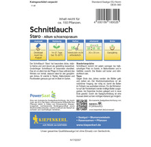 Samenpackung Schnittlauch Staro Allium schoenoprasum