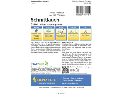 Samenpackung Schnittlauch Staro Allium schoenoprasum