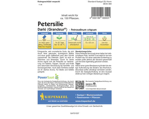 Petersiliensamen Darki Grandeur zur Aussaat