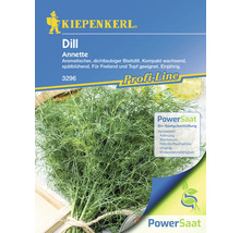 Kiepenkerl Dill Annette Saatgutpackung