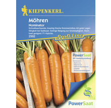 Karotte Nominator Kiepenkerl PowerSaat Hybrid-Saatgut Gemüsesamen