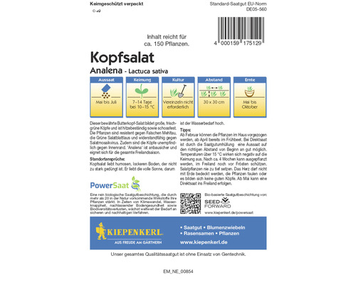 Kopfsalat Analena Samenpackung