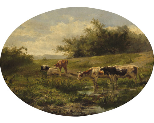 Leinwandbild Oval Kühe am Teich 70x50 cm