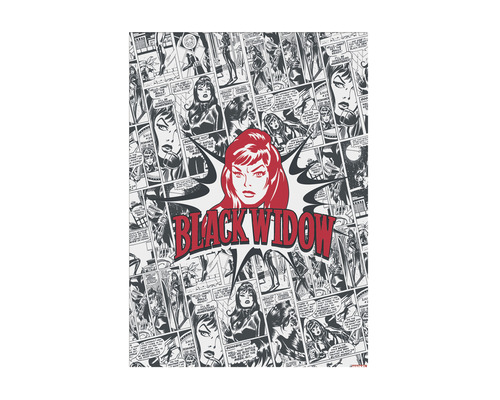 Leinwandbild Black Widow 50x70 cm