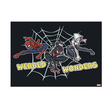 Leinwandbild Marvel Webbed Wonders 70x50 cm
