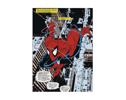 Leinwandbild Spiderman Comic 50x70 cm