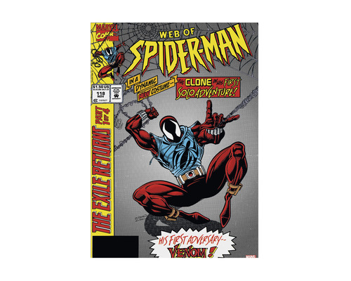 Leinwandbild Web of Spiderman 50x70 cm