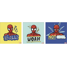 Drei Spiderman Motive mit den Schriftzügen Really, Woah und Not cool
