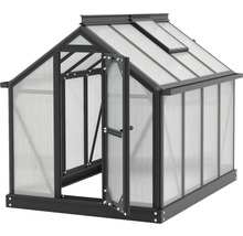 Gewächshaus mit geöffneter Tür und Dachfenster